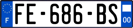 FE-686-BS