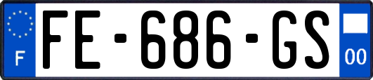 FE-686-GS