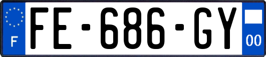 FE-686-GY