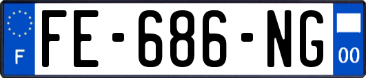 FE-686-NG