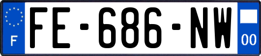 FE-686-NW