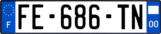 FE-686-TN