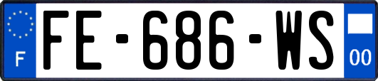 FE-686-WS