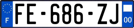 FE-686-ZJ