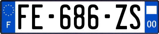 FE-686-ZS