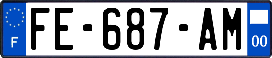 FE-687-AM