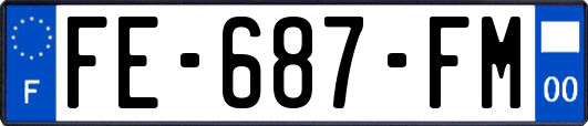 FE-687-FM