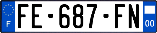 FE-687-FN