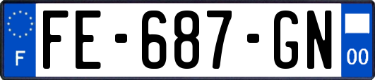 FE-687-GN