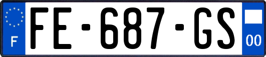 FE-687-GS