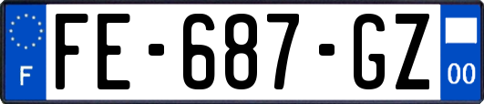 FE-687-GZ