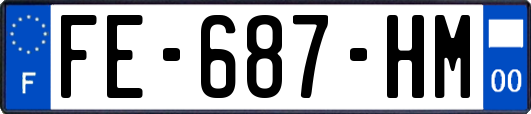 FE-687-HM
