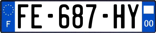 FE-687-HY