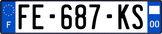 FE-687-KS