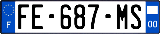 FE-687-MS