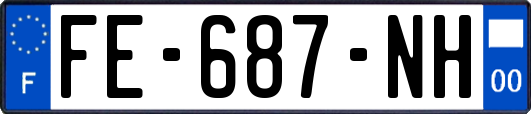 FE-687-NH