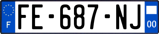 FE-687-NJ