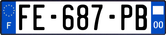FE-687-PB