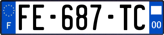 FE-687-TC
