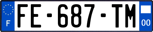 FE-687-TM