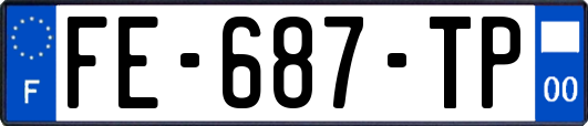 FE-687-TP