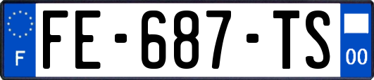 FE-687-TS