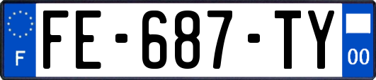 FE-687-TY