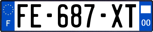 FE-687-XT