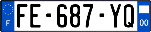 FE-687-YQ