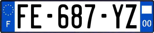 FE-687-YZ