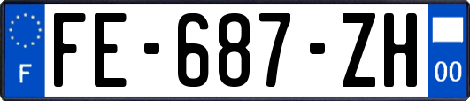 FE-687-ZH