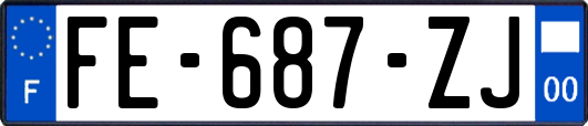 FE-687-ZJ