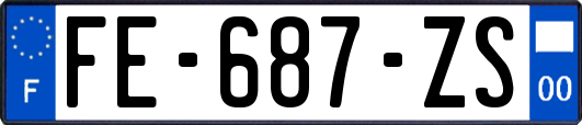 FE-687-ZS