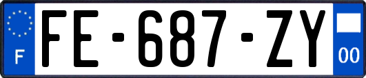 FE-687-ZY