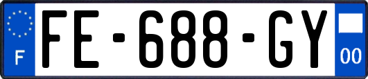 FE-688-GY