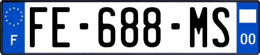 FE-688-MS