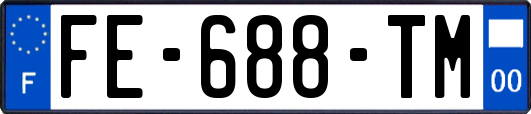 FE-688-TM