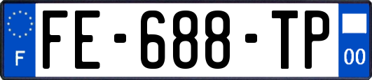 FE-688-TP