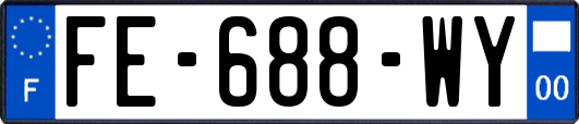 FE-688-WY