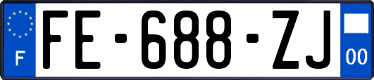 FE-688-ZJ