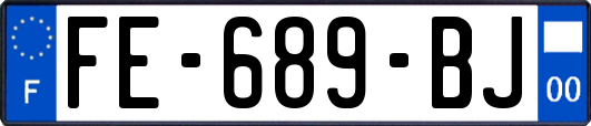 FE-689-BJ