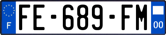 FE-689-FM