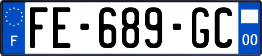 FE-689-GC
