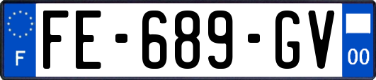 FE-689-GV