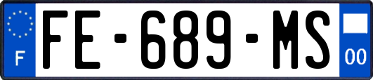 FE-689-MS