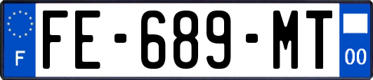 FE-689-MT