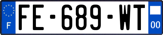 FE-689-WT