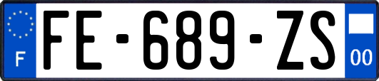 FE-689-ZS