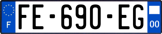 FE-690-EG