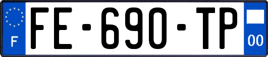 FE-690-TP
